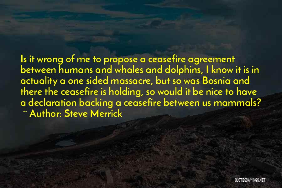 Bosnia Quotes By Steve Merrick