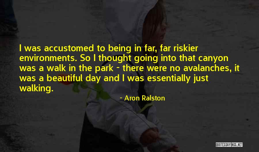 Bosnian Flag Quotes By Aron Ralston Bosnian Flag Quotes By Aron Ralston