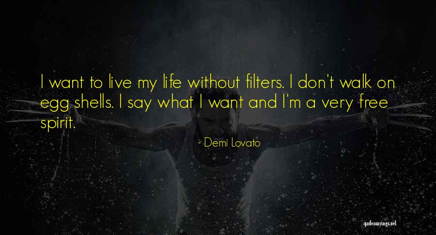 Bosnian Flag Quotes By Demi Lovato Bosnian Flag Quotes By Demi Lovato