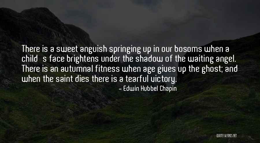 Bosoms Quotes By Edwin Hubbel Chapin