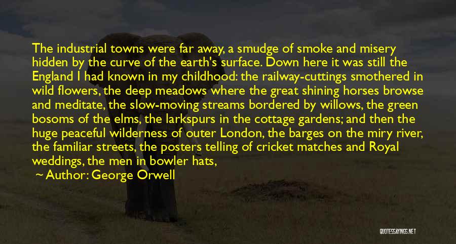 Bosoms Quotes By George Orwell