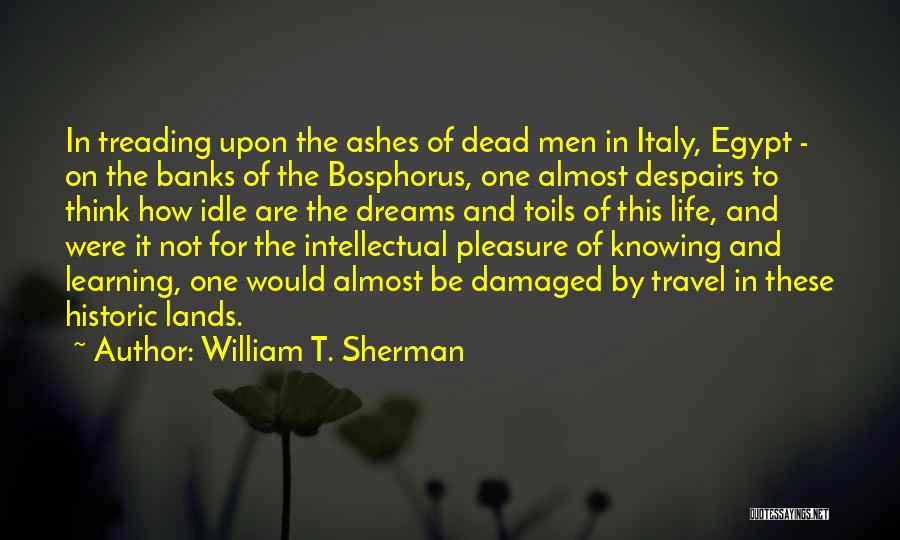 Bosphorus Quotes By William T. Sherman