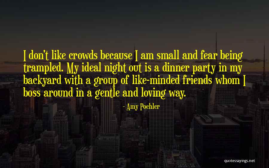 Boss But Friends Quotes By Amy Poehler Boss But Friends Quotes By Amy Poehler