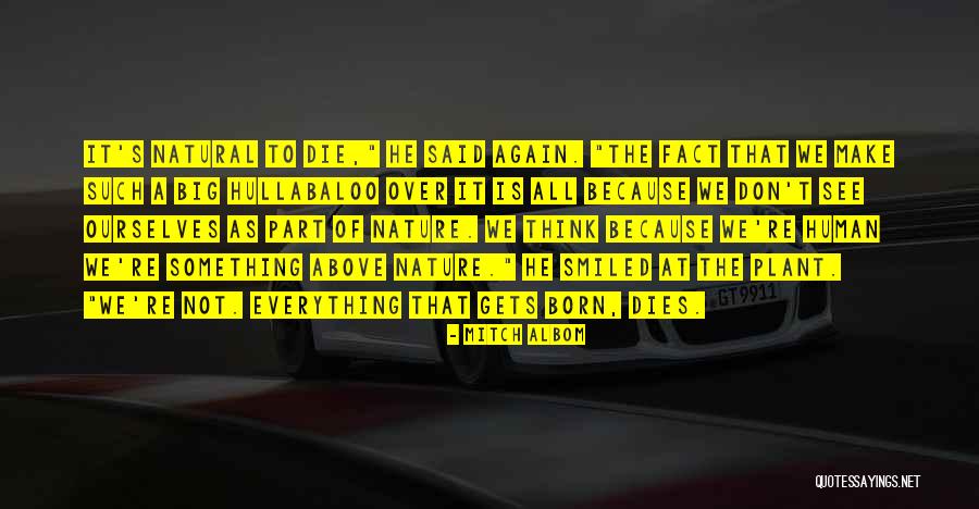 Bossche Bollen Quotes By Mitch Albom Bossche Bollen Quotes By Mitch Albom