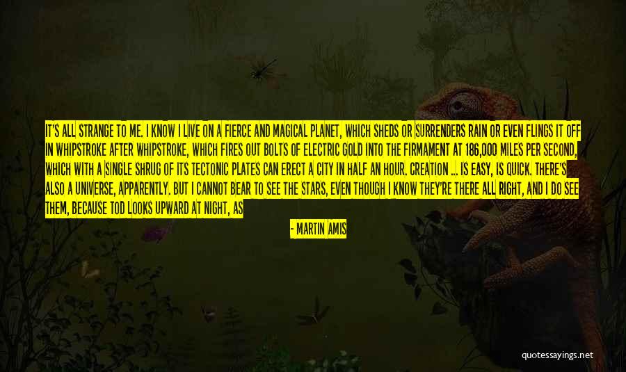 Bosshole Book Quotes By Martin Amis Bosshole Book Quotes By Martin Amis