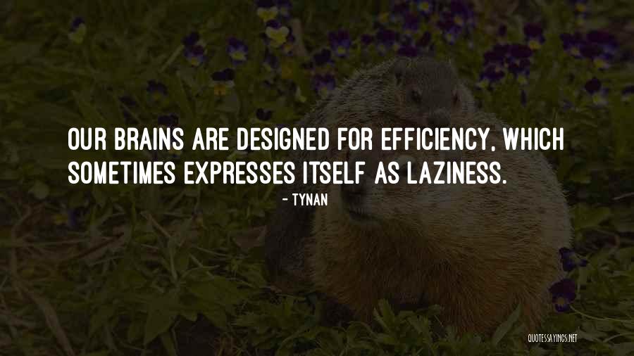 Bostjancic Sasa Quotes By Tynan Bostjancic Sasa Quotes By Tynan