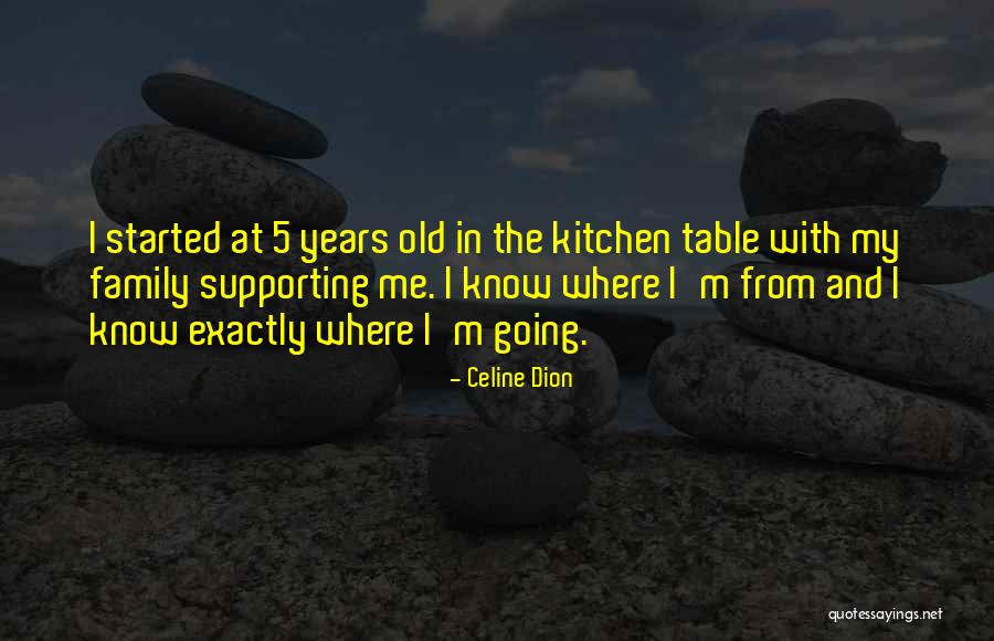 Boston Explosions Quotes By Celine Dion Boston Explosions Quotes By Celine Dion
