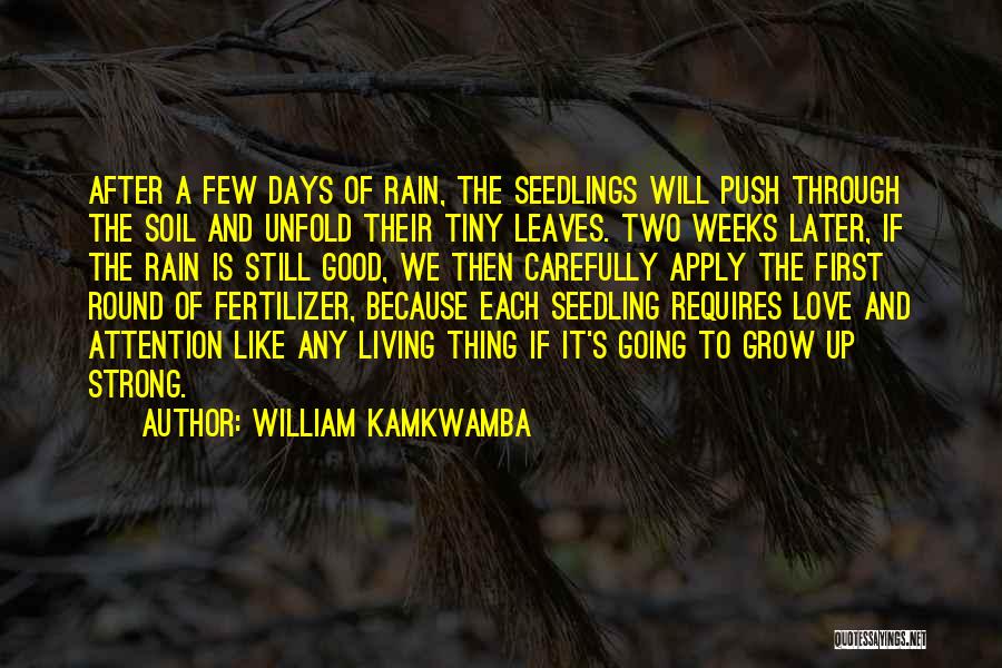 Botany Quotes By William Kamkwamba