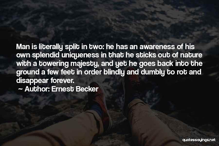 Both Feet On The Ground Quotes By Ernest Becker