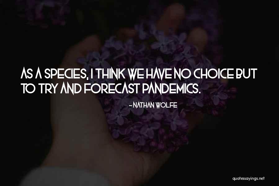 Botherations Quotes By Nathan Wolfe