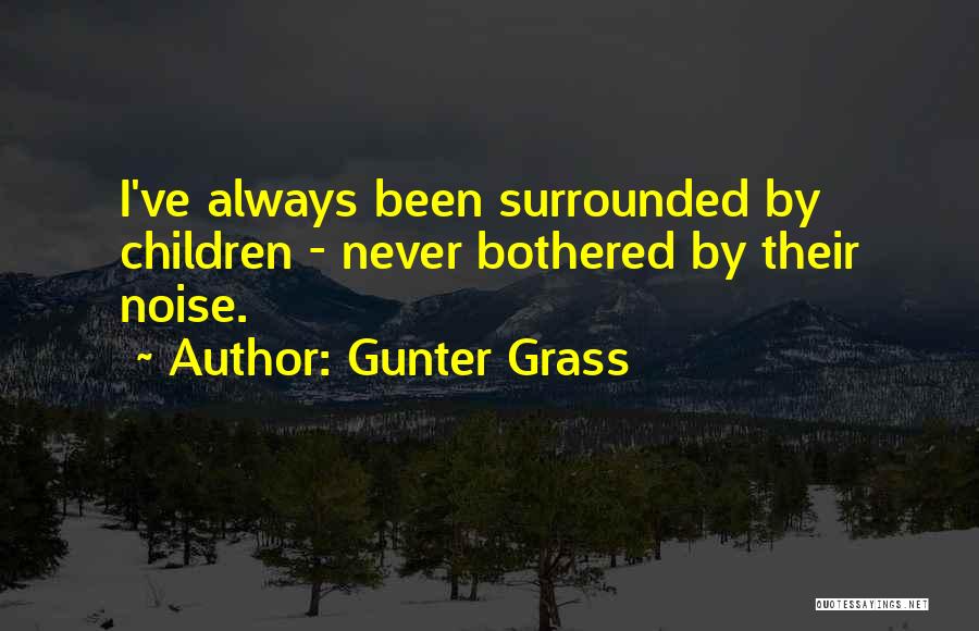 Bothered Quotes By Gunter Grass