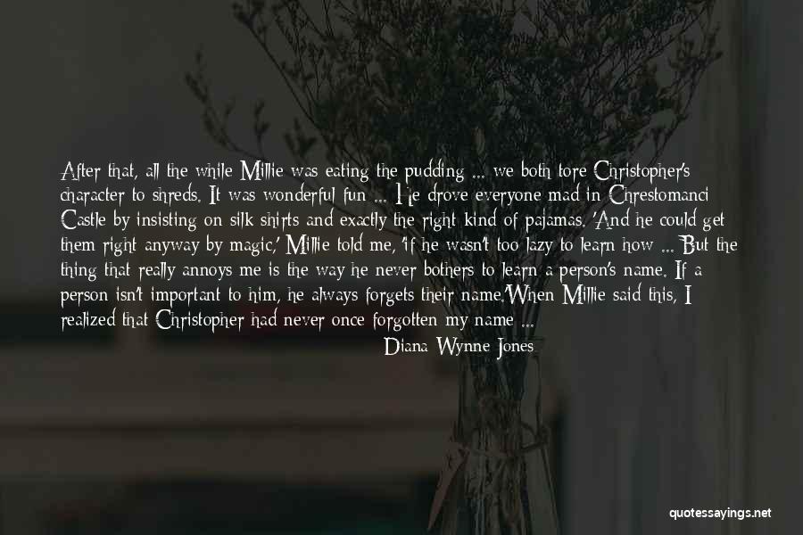 Bothers Quotes By Diana Wynne Jones Bothers Quotes By Diana Wynne Jones