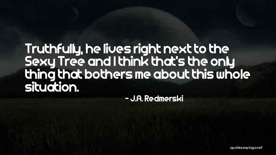 Bothers Quotes By J.A. Redmerski Bothers Quotes By J.A. Redmerski