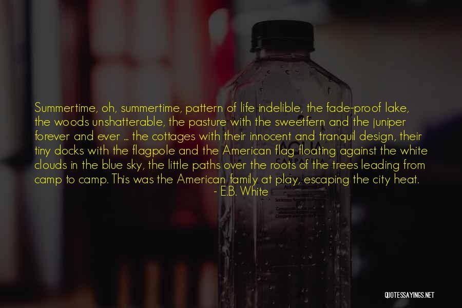 Botiuk Law Quotes By E.B. White Botiuk Law Quotes By E.B. White