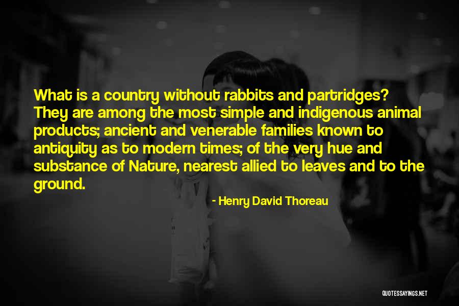 Botol Plastik Quotes By Henry David Thoreau Botol Plastik Quotes By Henry David Thoreau