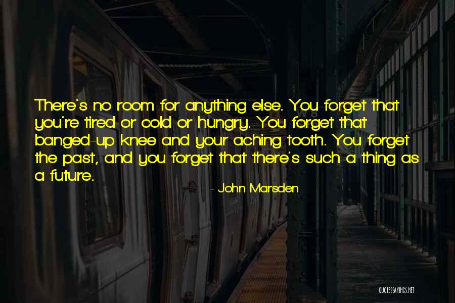 Botol Plastik Quotes By John Marsden Botol Plastik Quotes By John Marsden
