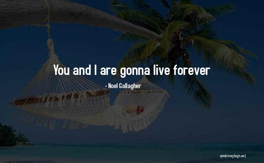 Botolat Quotes By Noel Gallagher Botolat Quotes By Noel Gallagher