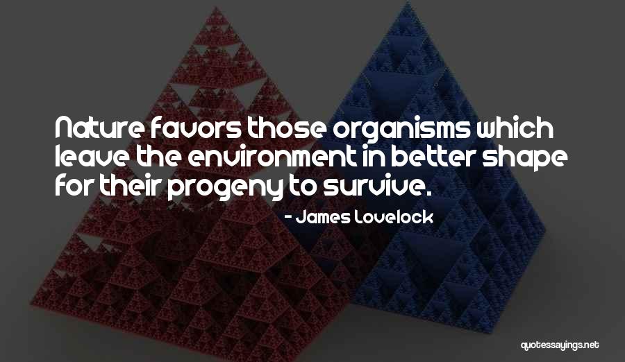 Bottegaio Quotes By James Lovelock Bottegaio Quotes By James Lovelock
