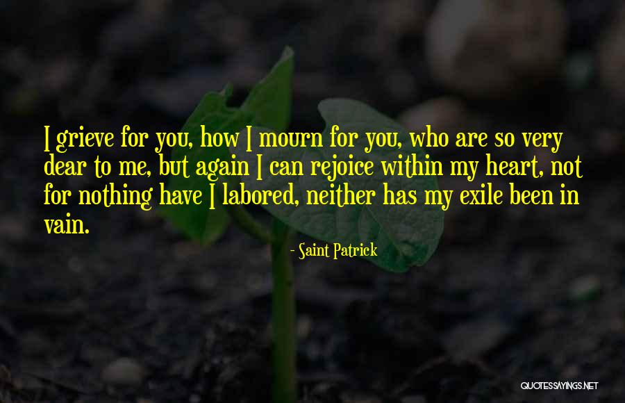 Bottieri Quotes By Saint Patrick Bottieri Quotes By Saint Patrick