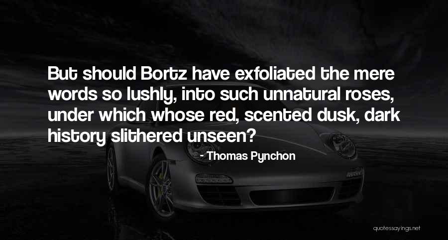 Bottinelli Custom Quotes By Thomas Pynchon Bottinelli Custom Quotes By Thomas Pynchon