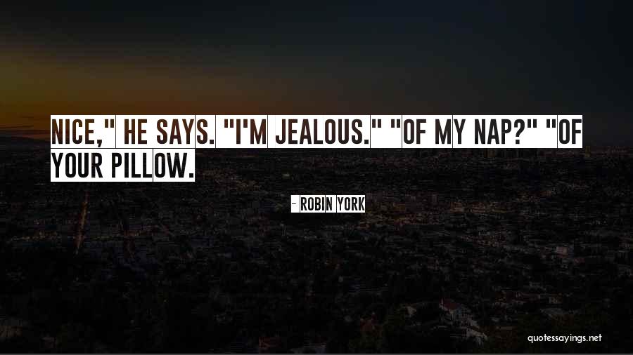 Bottlerocket Quotes By Robin York Bottlerocket Quotes By Robin York