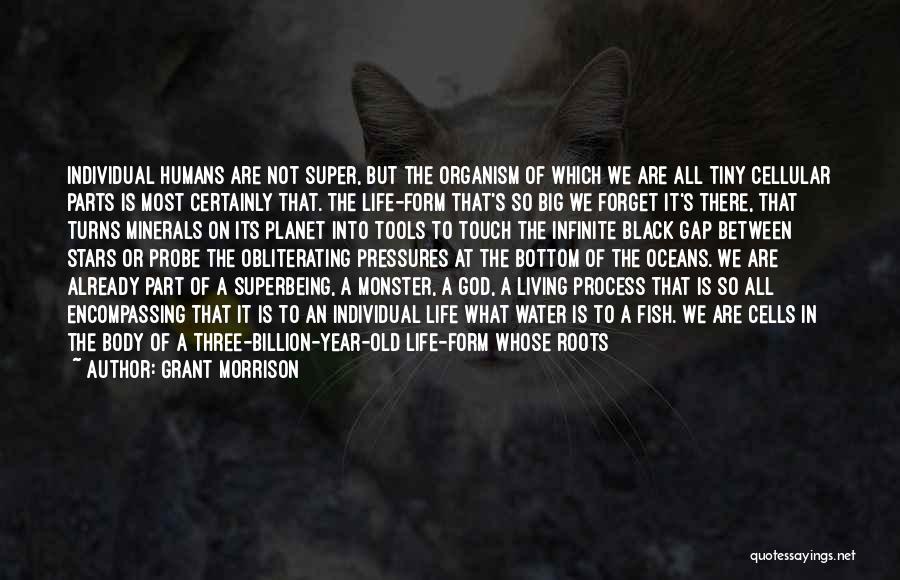 Bottom Billion Quotes By Grant Morrison