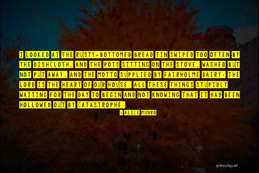 Bottomed Quotes By Alice Munro Bottomed Quotes By Alice Munro
