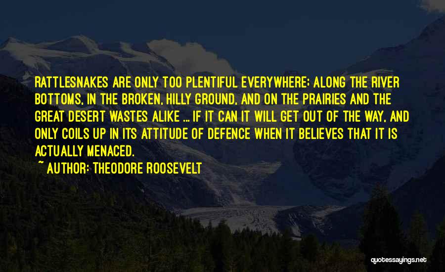 Bottoms Out Quotes By Theodore Roosevelt