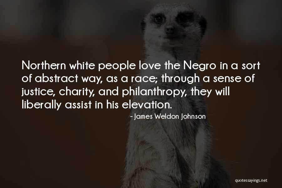 Boubker Hattali Quotes By James Weldon Johnson Boubker Hattali Quotes By James Weldon Johnson