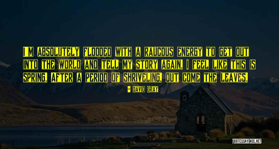 Boucan Quotes By David Gray