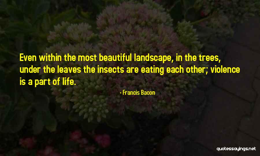Bouchards Nodules Quotes By Francis Bacon Bouchards Nodules Quotes By Francis Bacon