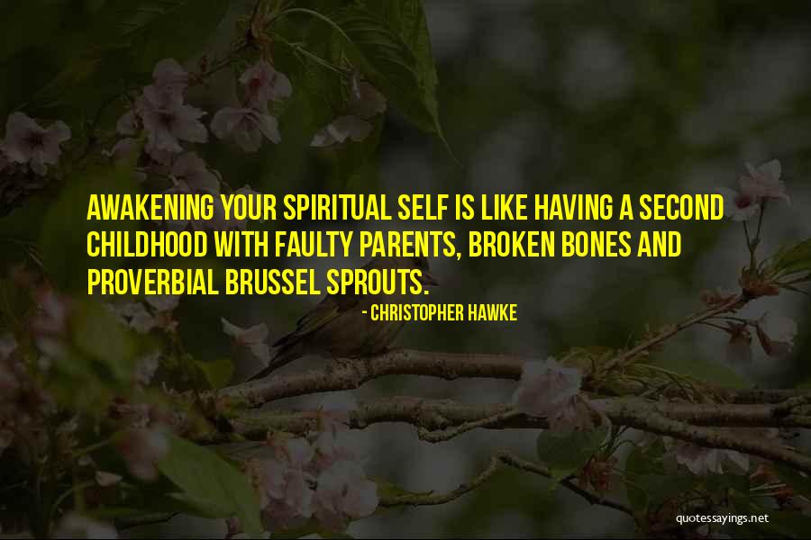 Bouchillon Law Quotes By Christopher Hawke Bouchillon Law Quotes By Christopher Hawke
