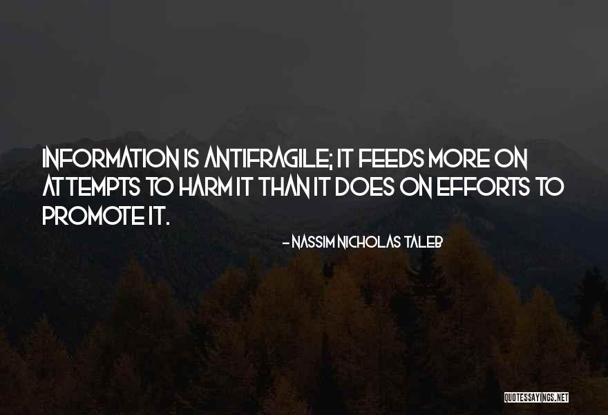 Boucler La Quotes By Nassim Nicholas Taleb Boucler La Quotes By Nassim Nicholas Taleb