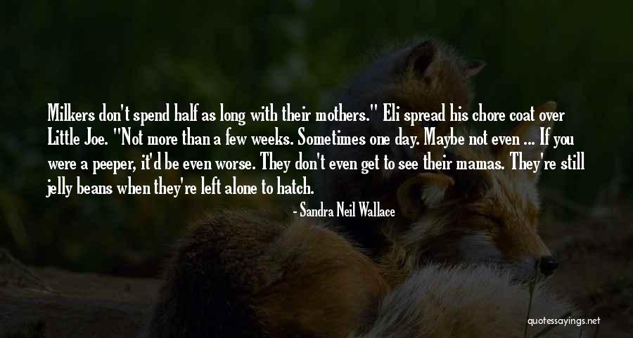 Bouderba Nouredine Quotes By Sandra Neil Wallace Bouderba Nouredine Quotes By Sandra Neil Wallace