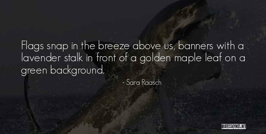 Bouderba Nouredine Quotes By Sara Raasch Bouderba Nouredine Quotes By Sara Raasch