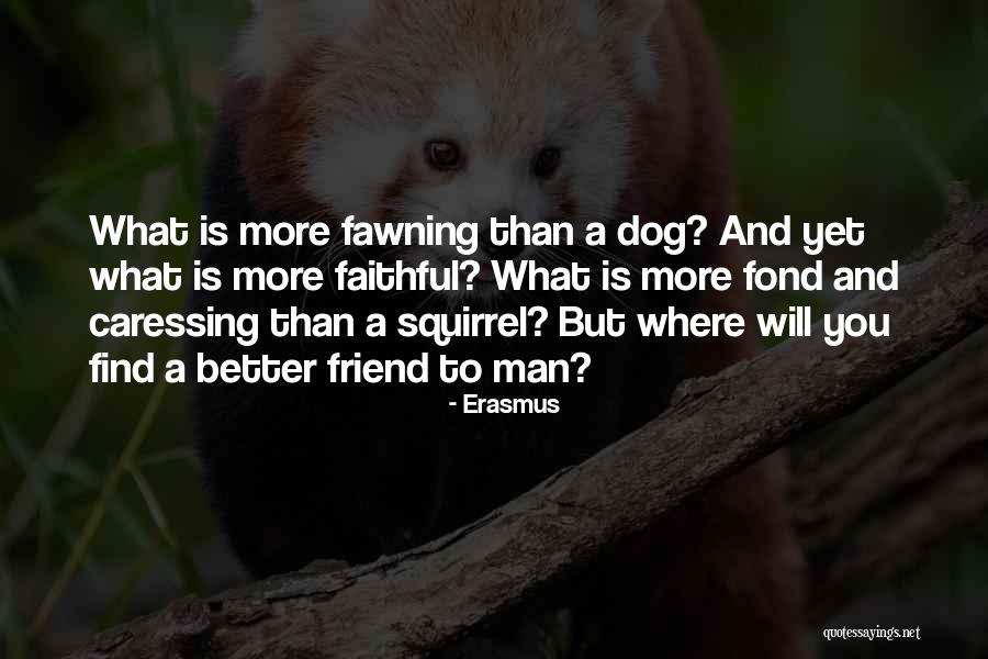 Bouet Q Quotes By Erasmus Bouet Q Quotes By Erasmus