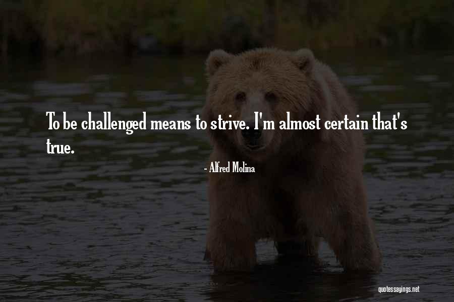Bougherra Madjid Quotes By Alfred Molina Bougherra Madjid Quotes By Alfred Molina