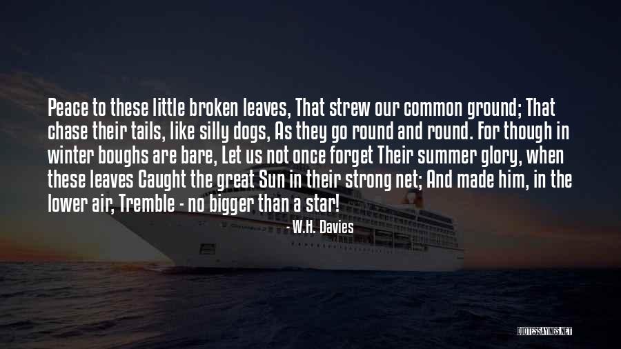 Boughs Quotes By W.H. Davies Boughs Quotes By W.H. Davies