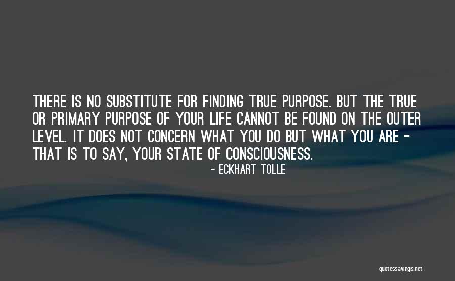 Boukari And Companies Quotes By Eckhart Tolle Boukari And Companies Quotes By Eckhart Tolle