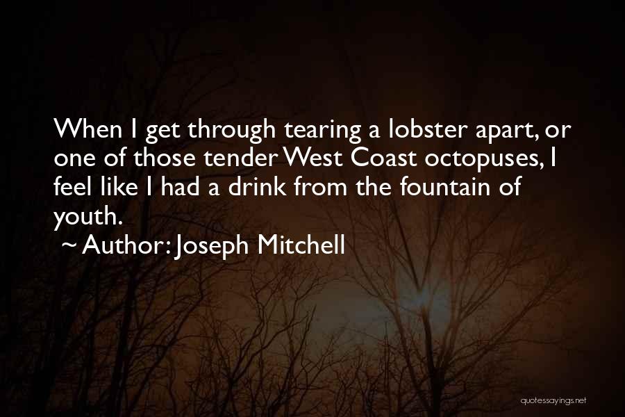 Boukerma Quotes By Joseph Mitchell