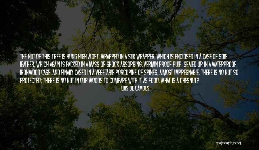 Boulas Dallas Quotes By Luis De Camoes Boulas Dallas Quotes By Luis De Camoes