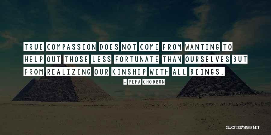 Boulevard 2014 Quotes By Pema Chodron Boulevard 2014 Quotes By Pema Chodron