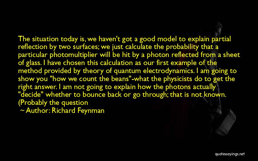 Bounce Back Quotes By Richard Feynman