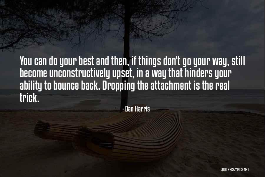 Bounce Back Up Quotes By Dan Harris