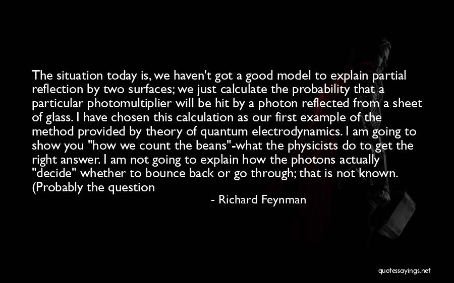 Bounce Back Up Quotes By Richard Feynman