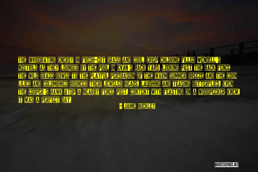 Bounced Back Quotes By Jaime Buckley Bounced Back Quotes By Jaime Buckley