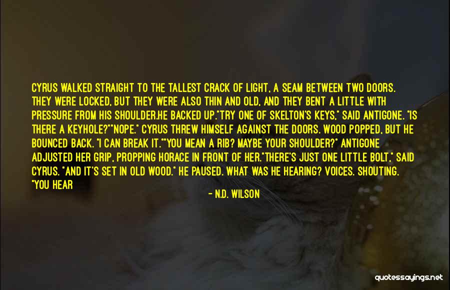 Bounced Back Quotes By N.D. Wilson Bounced Back Quotes By N.D. Wilson