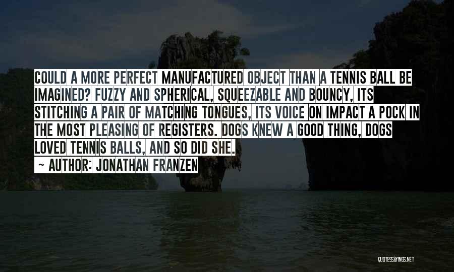 Bouncy Balls Quotes By Jonathan Franzen