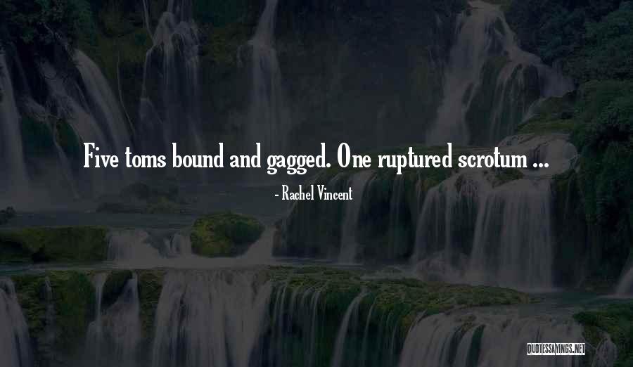Bound And Gagged Quotes By Rachel Vincent Bound And Gagged Quotes By Rachel Vincent