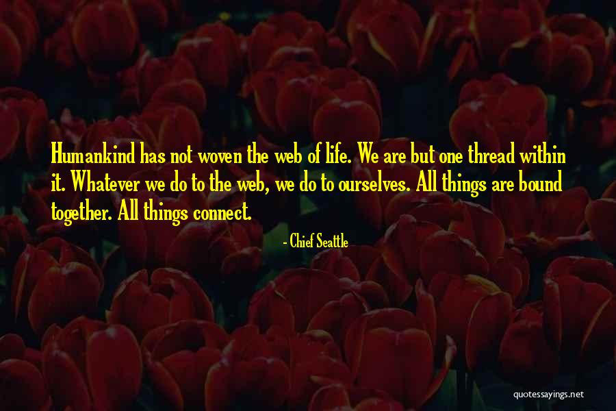 Bound Together Quotes By Chief Seattle Bound Together Quotes By Chief Seattle
